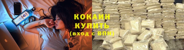 гидропоника Горняк