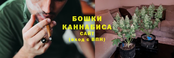 альфа пвп Горнозаводск