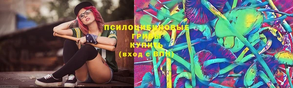 альфа пвп Горнозаводск