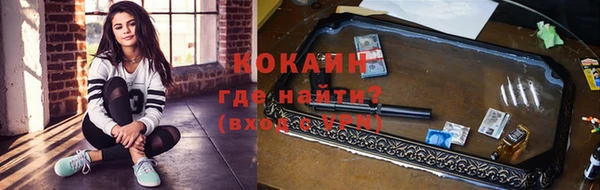 гидропоника Горняк